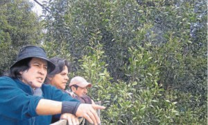 Gloria Ballesteros, Mónica Santacruz y Víctor Manuel Díaz hablan del vendaval.