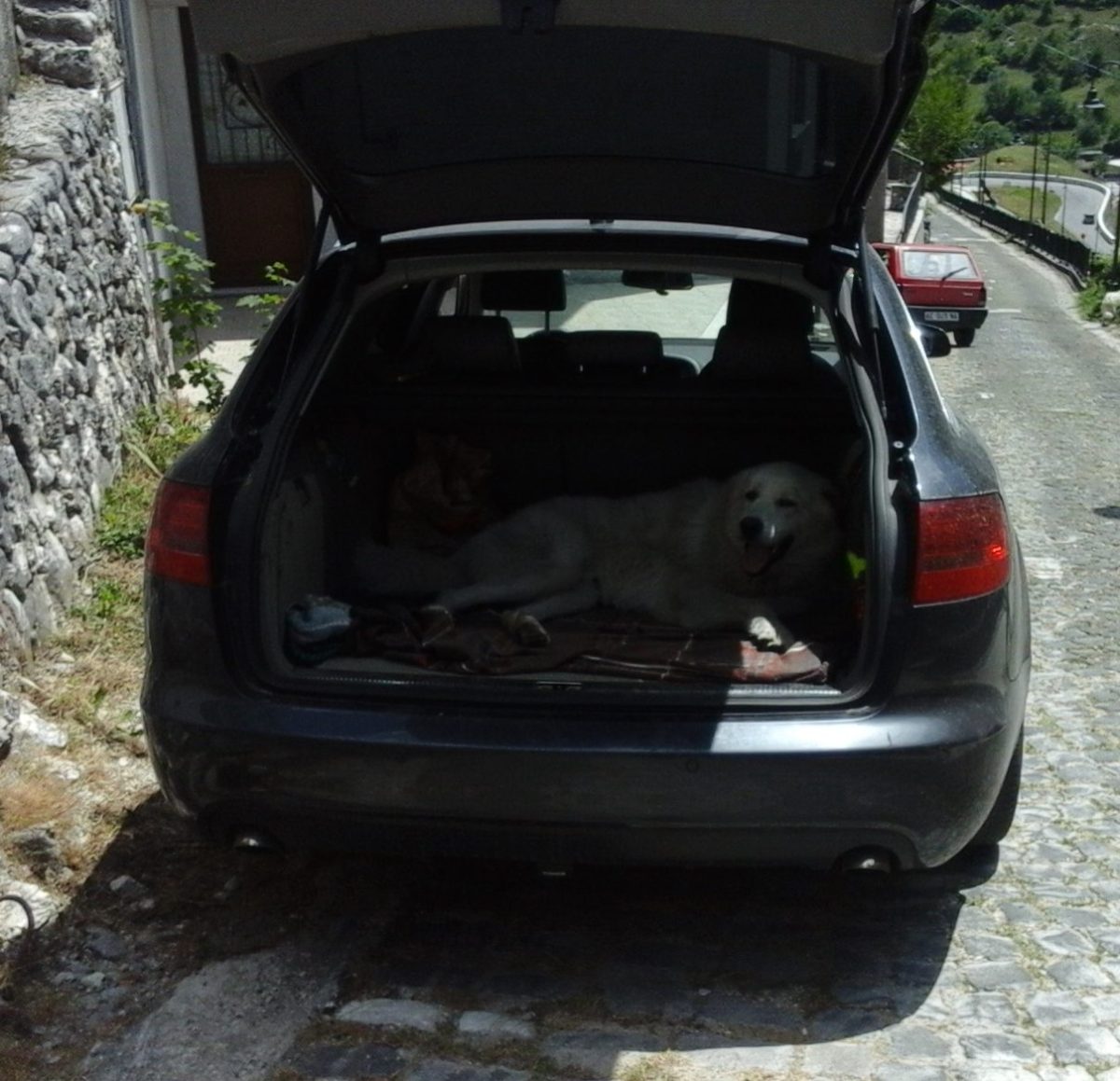 A la sombra en un carro