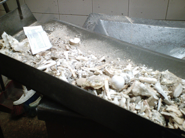 Restos óseos después de la cremación