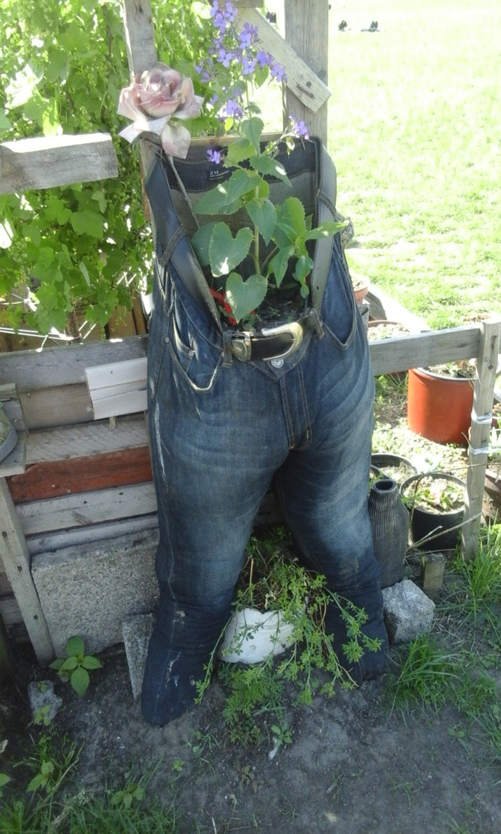 Pantalones usados como matera, en Berlín